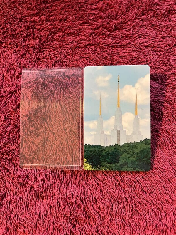 A picture of the sky and trees on a pink rug.