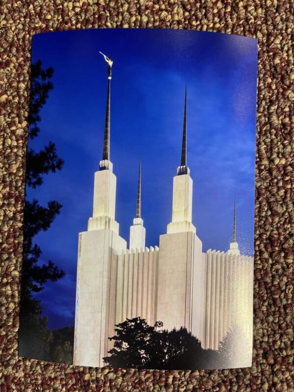 A picture of the mormon temple taken from inside the building.